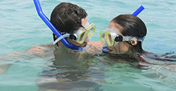 Attività Acquatiche